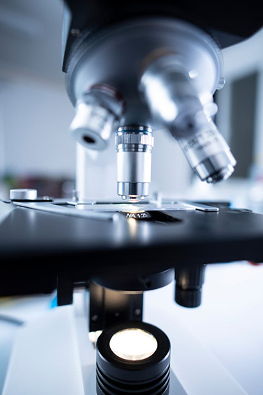 Layde Laboratorio